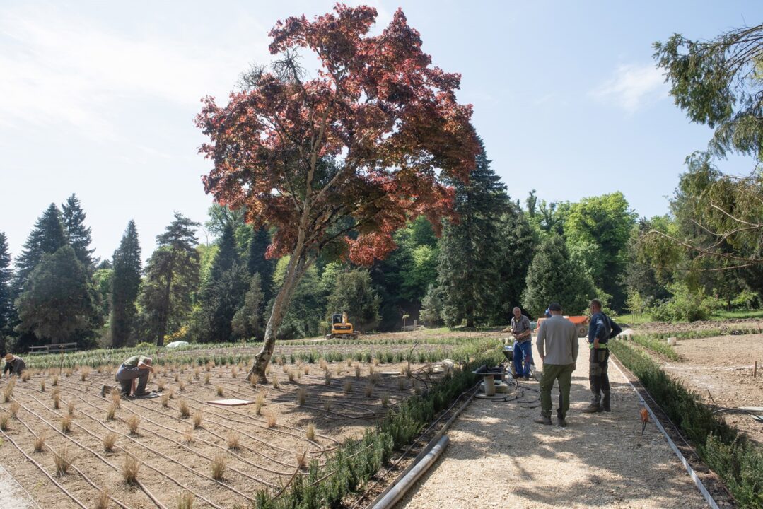 arboretum foto 1
