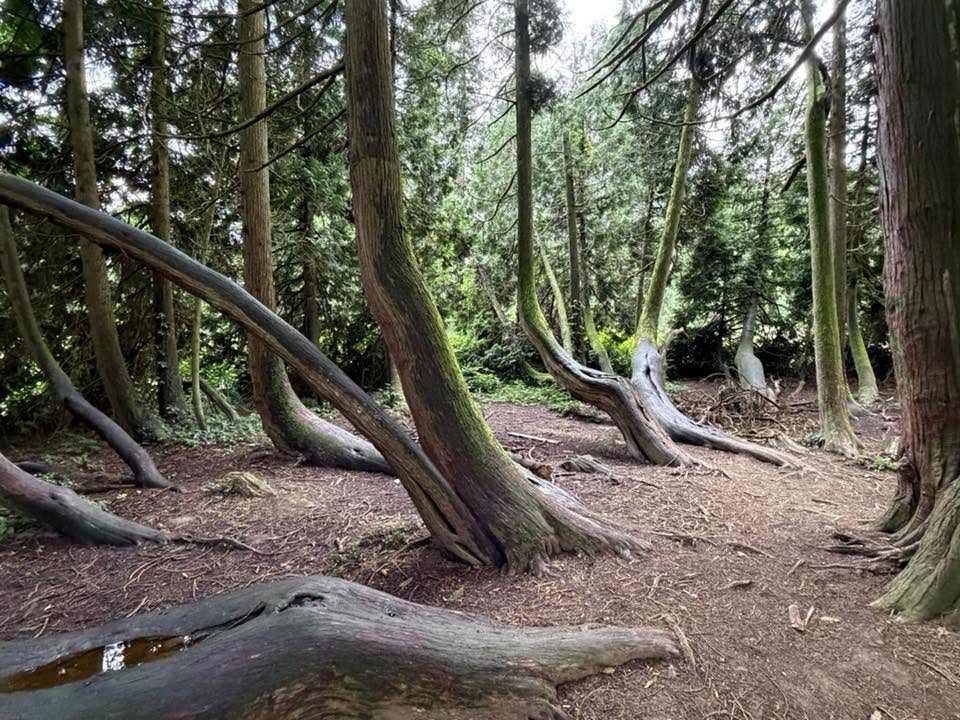 arboretum foto 2