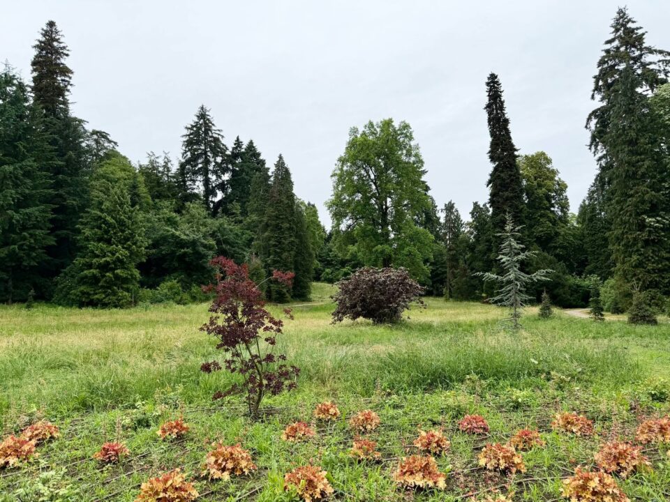arboretum foto 3